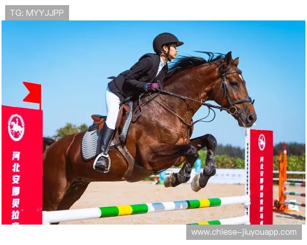 世界马术青少年赛选手心理辅导计划上线，国际青少年马术比赛